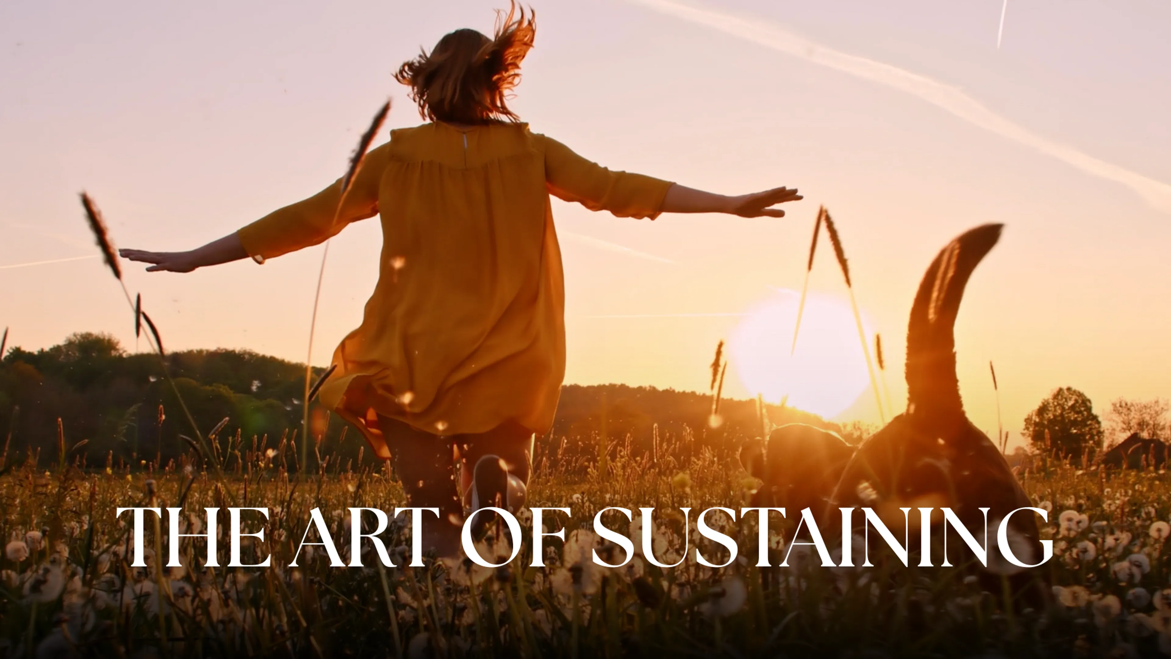 The Art of Sustaining poster